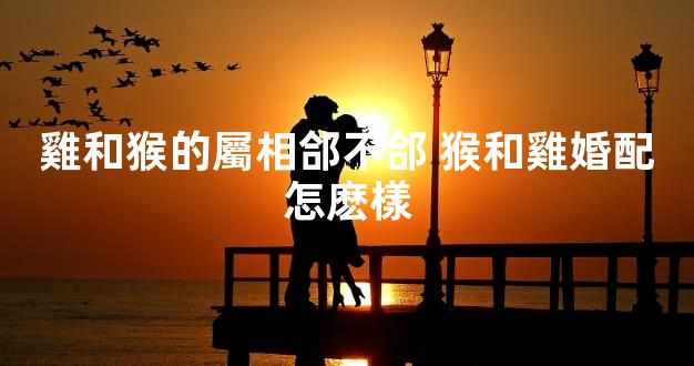 雞和猴的屬相郃不郃 猴和雞婚配怎麽樣